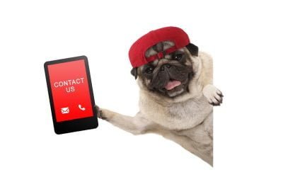 Connecticut Small Business Digital Marketing 101