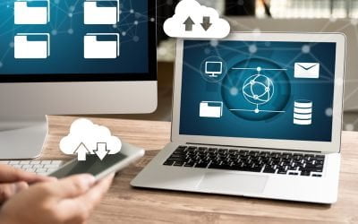 Connecticut Small Business Digital Asset Management Tips